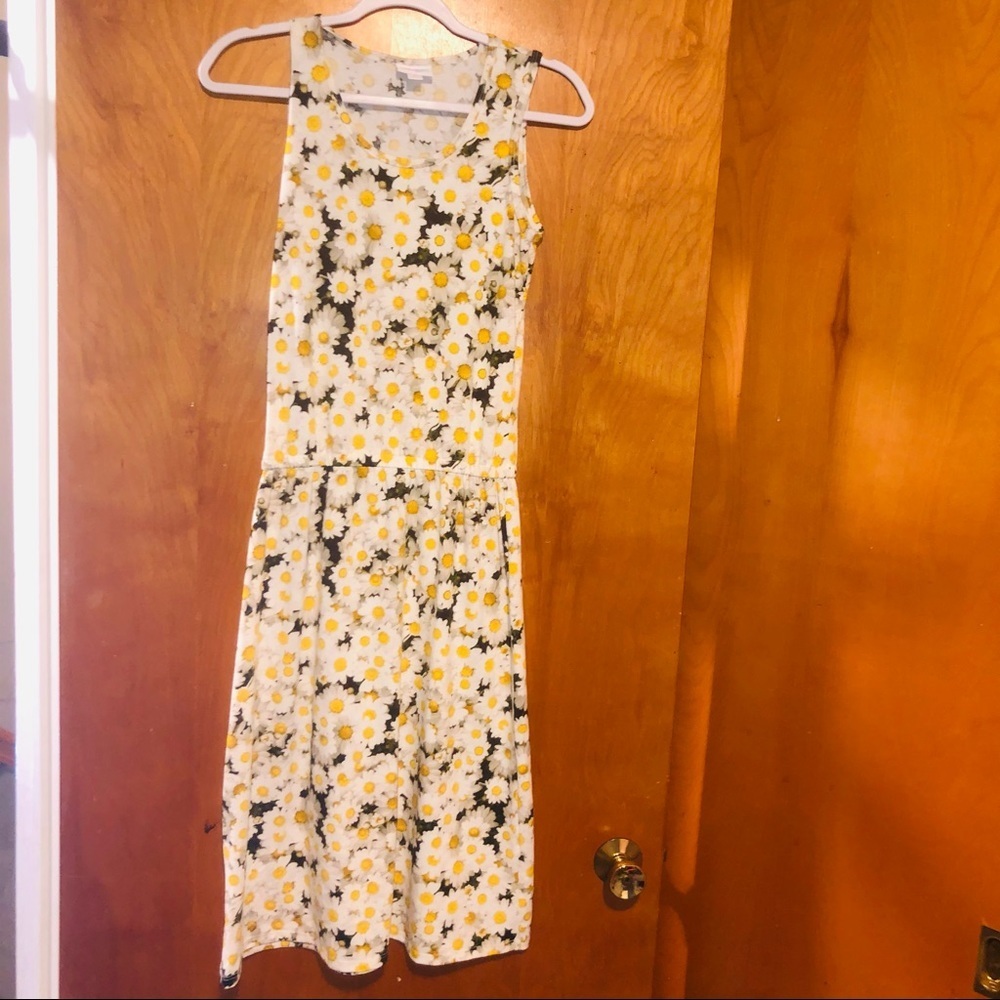 LuLaRoe SUMMER DRESS DAISIES Floral Daisy XS NWOT